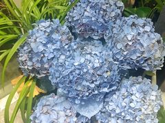-FEI FEI FLOWER鲜花店·气球派对·宝宝宴布置(虹口德必运动Loft店)