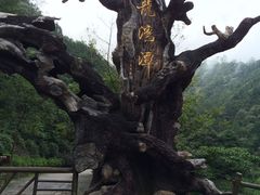 -龙湾潭国家森林公园