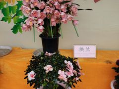 -重庆园博园