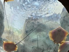 -珠海长隆海洋王国