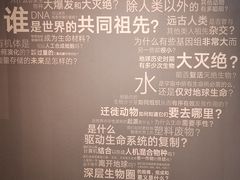 -四川大学博物馆