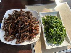 -老保定驴肉馆(云岗路店)