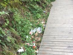 -木兰云雾山
