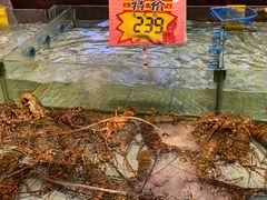 -九號渔港·蒸汽海鲜·粤菜茶点(八卦岭店)