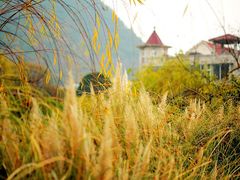 -贵阳市花溪国家城市湿地公园