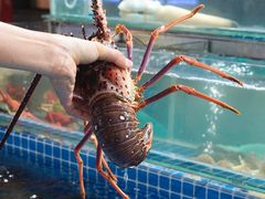 -大东海海鲜酒楼(渔人码头总店)