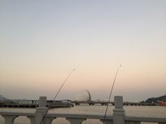 -野狸岛