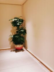 点击看大图 -苑苑vbeauty科技美容SPA