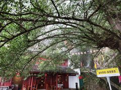 -大慈岩风景区