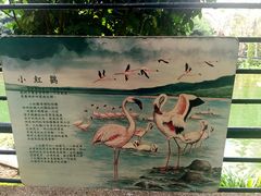-九龙公园