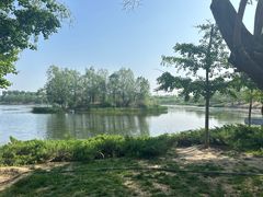 -马家湾湿地公园