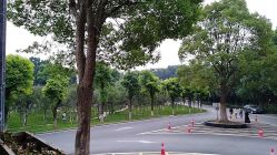 -弗蕾亚·和月月子调理院(东湖店)