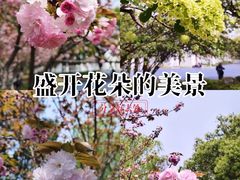 -范蠡湖公园