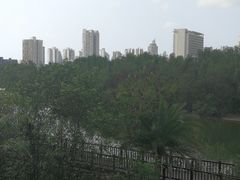 -金鸡岭桥头公园