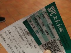 -SFC上影百联影城(大上海4DX店)