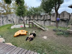 -上海野生动物园