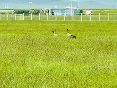 -花湖生态旅游区