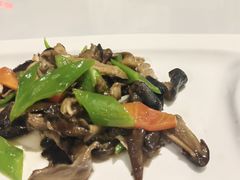 -黑青稞庄园·新式藏餐·牦牛肉汤锅(新都桥店)