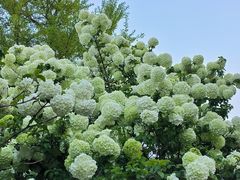 -苏州上方山国家森林公园