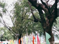 -南宁花花大世界景区