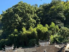 -杨家堂村