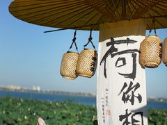 -七的湖·晚芳亭·阳澄湖农家菜·大闸蟹(莲花岛店)