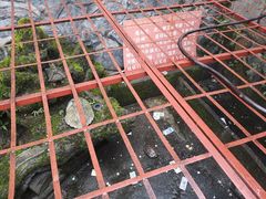 -安溪清水岩