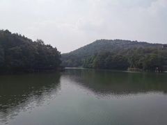 -白马涧龙池景区