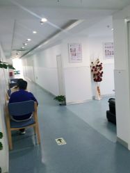 -温州伯思立医院