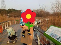 -西湖风景区-江洋畈生态公园