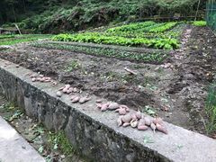 -会稽山峡洞漂流-上青古道