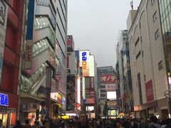 -秋叶原电器街