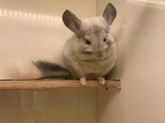 -龙猫仔乐园(惠福东路店)