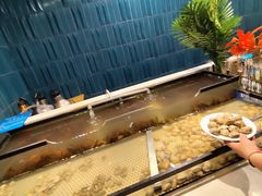 -伍棵煋炭烤自助料理·烤鳗鱼(浦东食品城店)