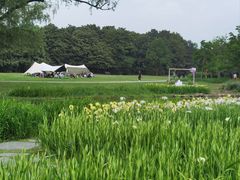 -共青国家森林公园-售票处