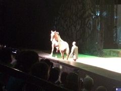 -cavalia·舞马