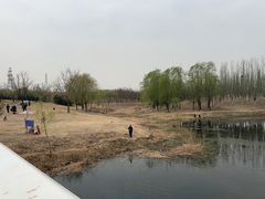 -马家湾湿地公园