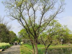 -西溪国家湿地公园