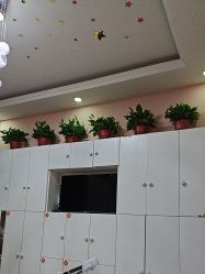 -香薇妮丝·定制减肥·身材管理