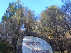 -白水寺森林公园
