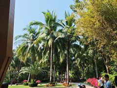 -三亚湾海居铂尔曼度假酒店