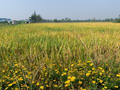 -中国天府农业博览园