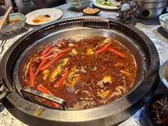 -红辣椒·川菜·火锅(朝外店)
