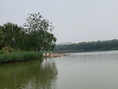 -大兴滨河森林公园