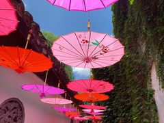 景观位-鱼食饭稻·苏浙土菜17年老馆子(平江路店)