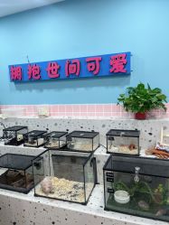 -Moni星球萌宠·小马宝莉·灵蛇·高端高阶全萌宠互动体验俱乐部(红豆国际广场店)