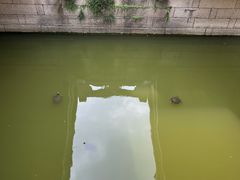 -灵山胜境