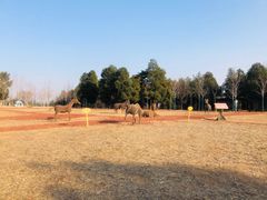 -北京西山国家森林公园