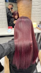 -程Studio