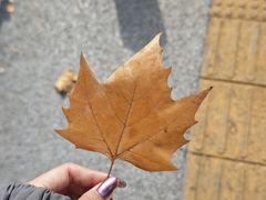 -行山咖啡(南湖店)